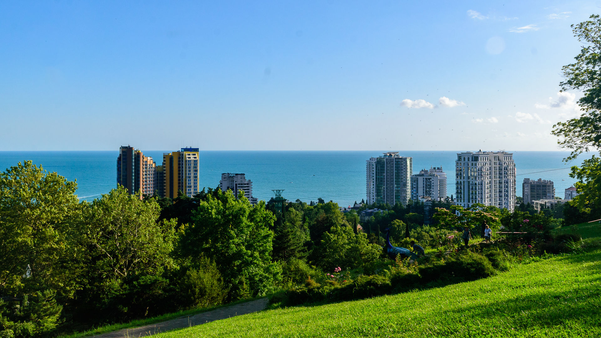 Зелёные склоны, море и город Сочи